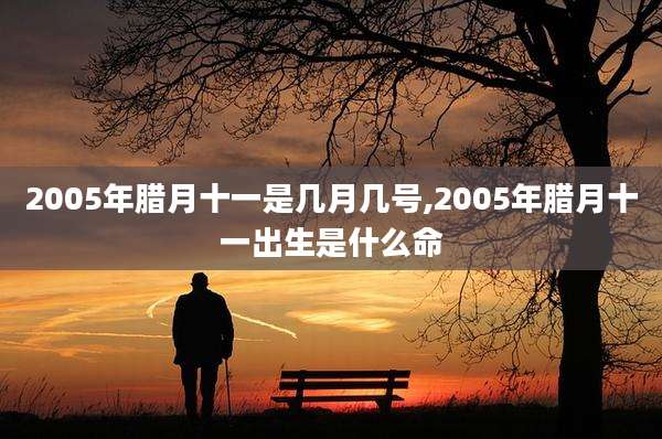 2005年腊月十一是几月几号,2005年腊月十一出生是什么命