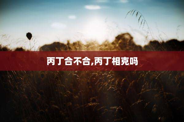 丙丁合不合,丙丁相克吗