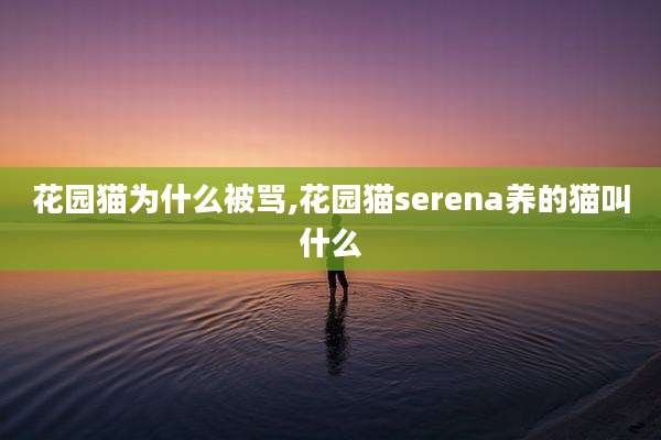 花园猫为什么被骂,花园猫serena养的猫叫什么