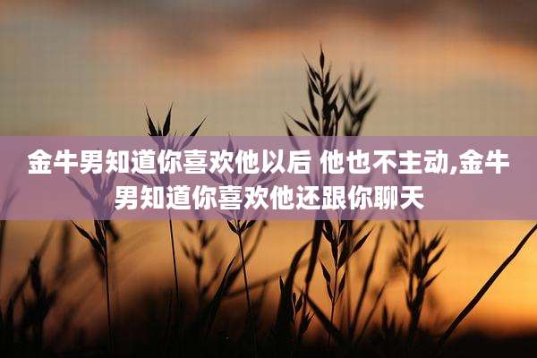 金牛男知道你喜欢他以后 他也不主动,金牛男知道你喜欢他还跟你聊天