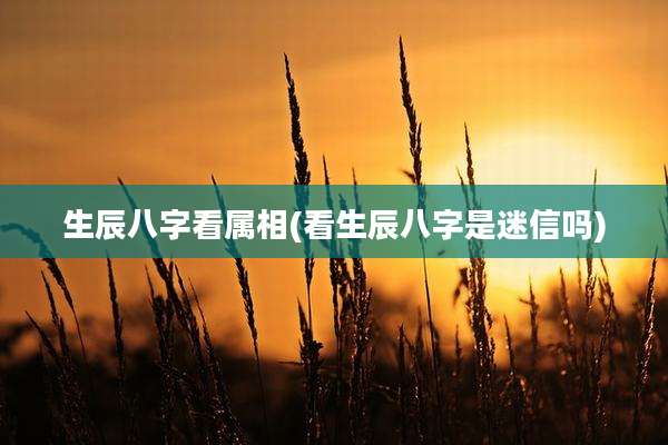 生辰八字看属相(看生辰八字是迷信吗)