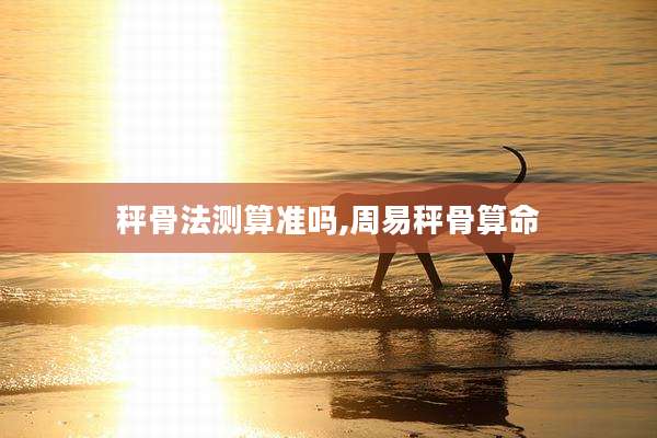 秤骨法测算准吗,周易秤骨算命