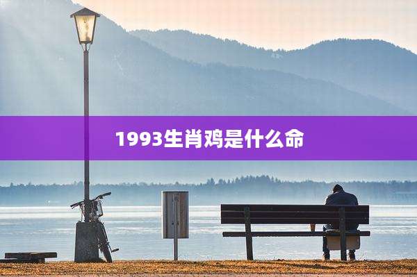 1993生肖鸡是什么命