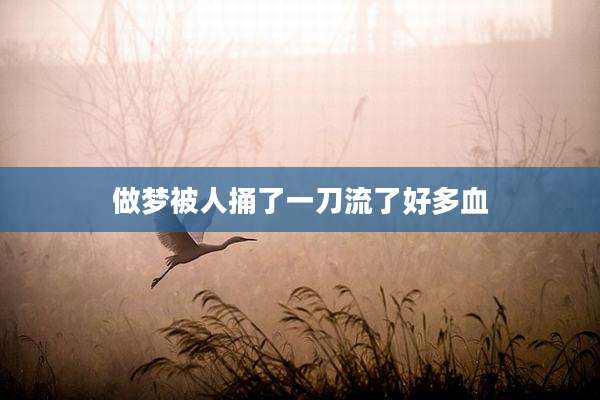 做梦被人捅了一刀流了好多血