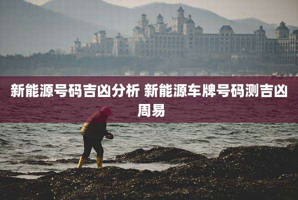 新能源号码吉凶分析 新能源车牌号码测吉凶 周易