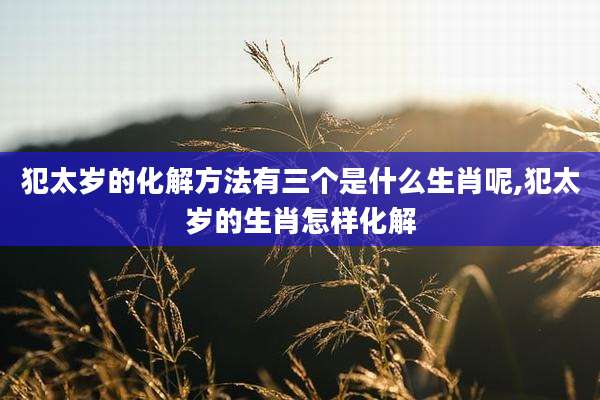 犯太岁的化解方法有三个是什么生肖呢,犯太岁的生肖怎样化解