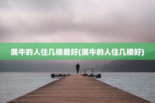 属牛的人住几楼最好(属牛的人住几楼好)