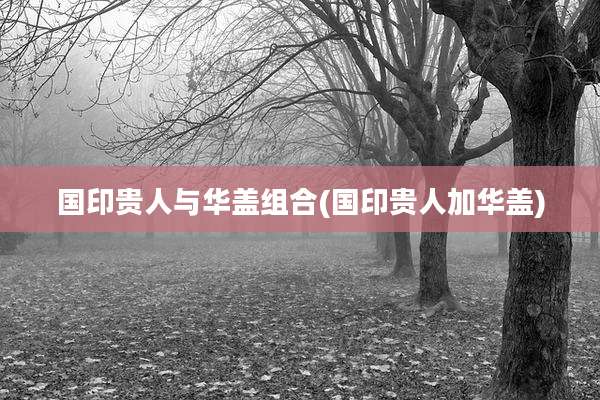 国印贵人与华盖组合(国印贵人加华盖)