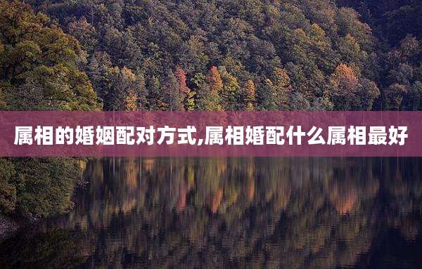 属相的婚姻配对方式,属相婚配什么属相最好