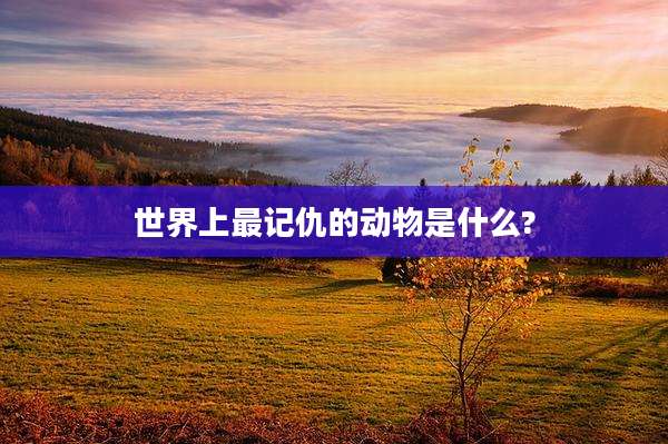 世界上最记仇的动物是什么?