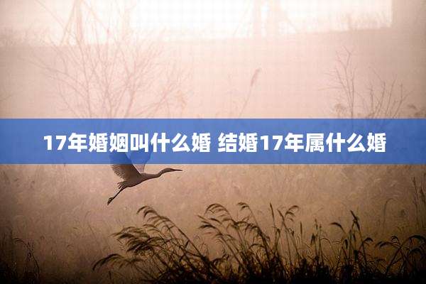 17年婚姻叫什么婚 结婚17年属什么婚