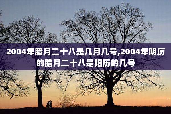2004年腊月二十八是几月几号,2004年阴历的腊月二十八是阳历的几号