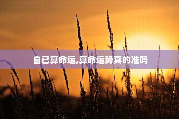 自已算命运,算命运势真的准吗
