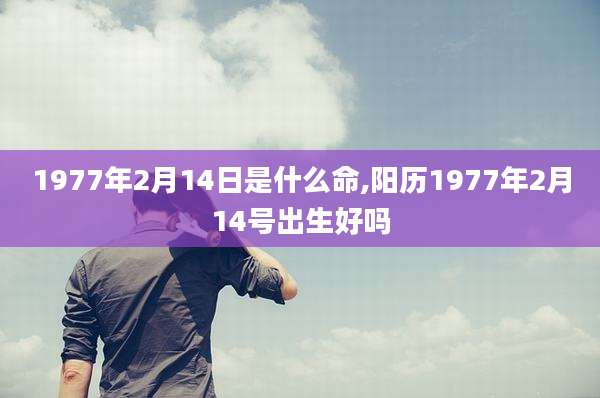 1977年2月14日是什么命,阳历1977年2月14号出生好吗