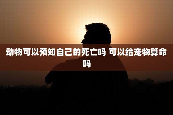 动物可以预知自己的死亡吗 可以给宠物算命吗