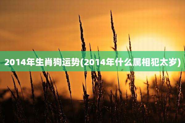 2014年生肖狗运势(2014年什么属相犯太岁)