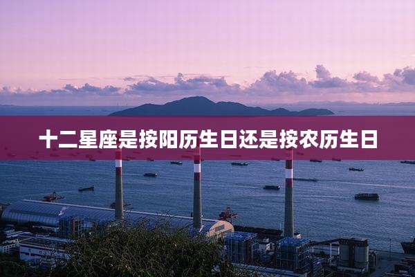 十二星座是按阳历生日还是按农历生日