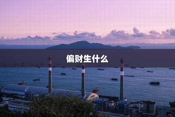 偏财生什么