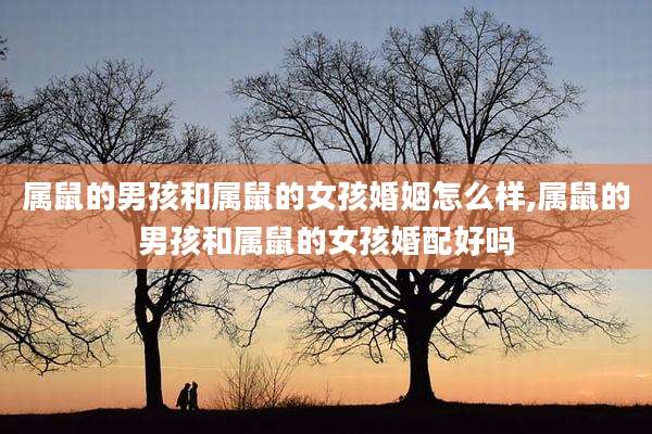 属鼠的男孩和属鼠的女孩婚姻怎么样,属鼠的男孩和属鼠的女孩婚配好吗
