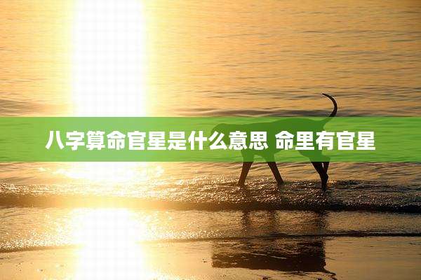 八字算命官星是什么意思 命里有官星