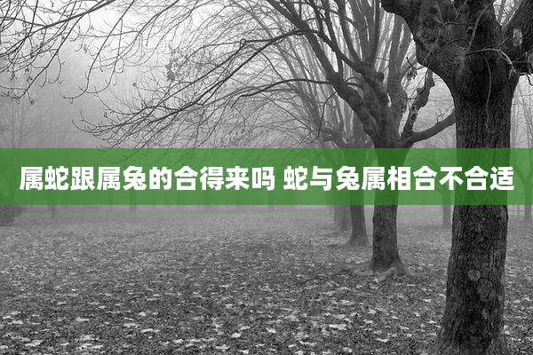 属蛇跟属兔的合得来吗 蛇与兔属相合不合适