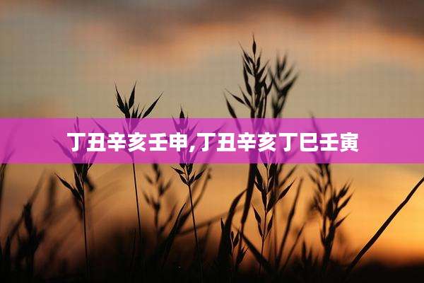 丁丑辛亥壬申,丁丑辛亥丁巳壬寅