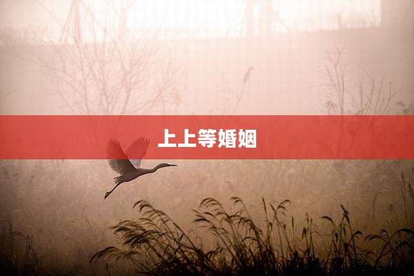 上上等婚姻