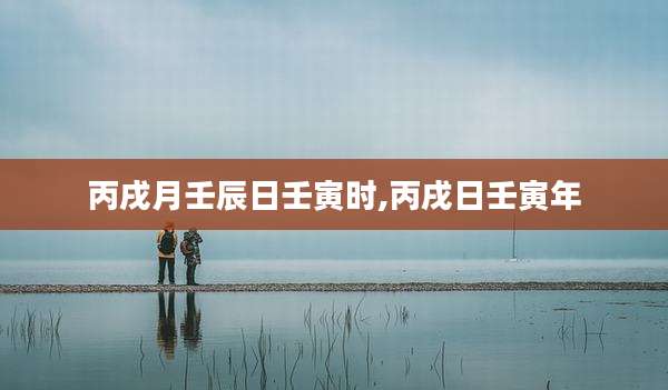 丙戌月壬辰日壬寅时,丙戌日壬寅年