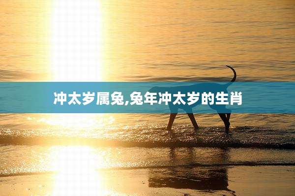 冲太岁属兔,兔年冲太岁的生肖