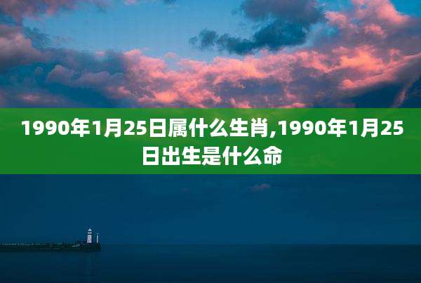 1990年1月25日属什么生肖,1990年1月25日出生是什么命