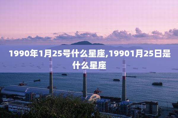 1990年1月25号什么星座,19901月25日是什么星座