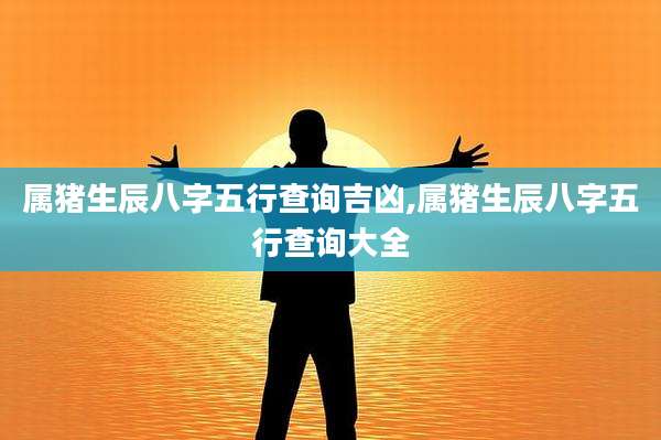 属猪生辰八字五行查询吉凶,属猪生辰八字五行查询大全