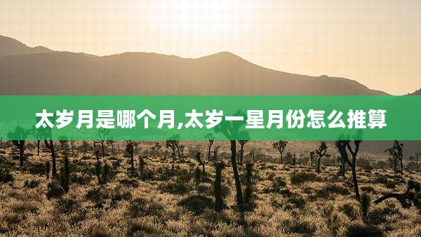 太岁月是哪个月,太岁一星月份怎么推算