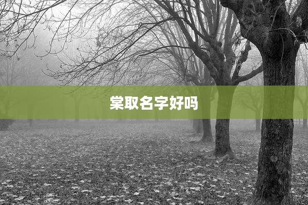 棠取名字好吗
