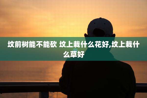 坟前树能不能砍 坟上栽什么花好,坟上栽什么草好