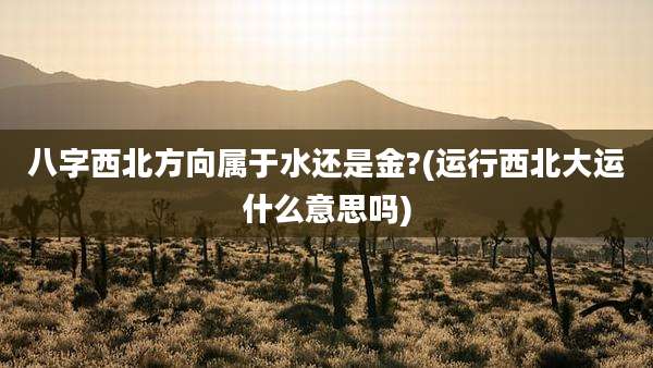 八字西北方向属于水还是金?(运行西北大运什么意思吗)
