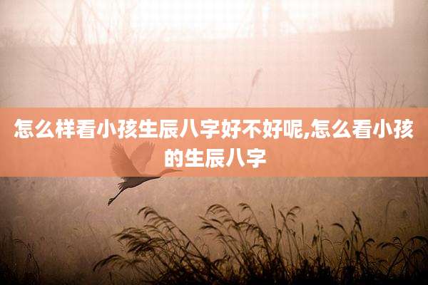 怎么样看小孩生辰八字好不好呢,怎么看小孩的生辰八字