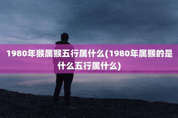 1980年猴属猴五行属什么(1980年属猴的是什么五行属什么)
