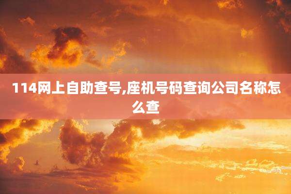 114网上自助查号,座机号码查询公司名称怎么查