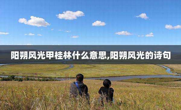 阳朔风光甲桂林什么意思,阳朔风光的诗句