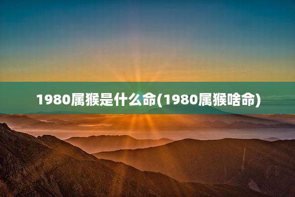 1980属猴是什么命(1980属猴啥命)