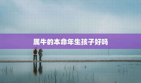 属牛的本命年生孩子好吗