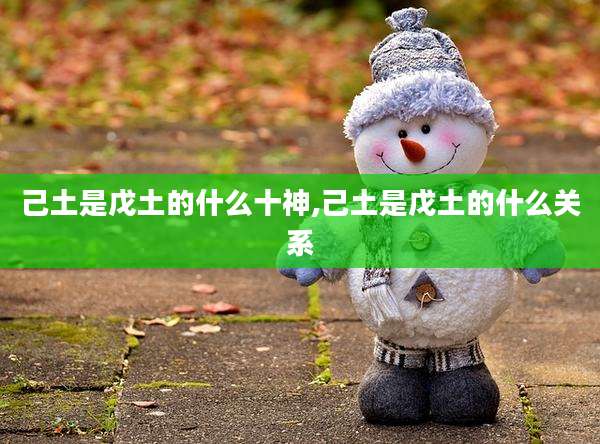 己土是戊土的什么十神,己土是戊土的什么关系