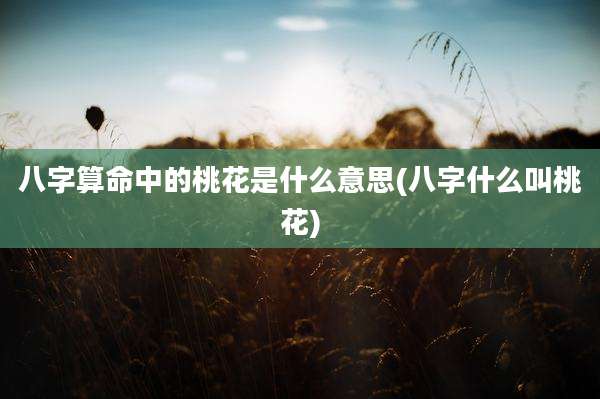八字算命中的桃花是什么意思(八字什么叫桃花)