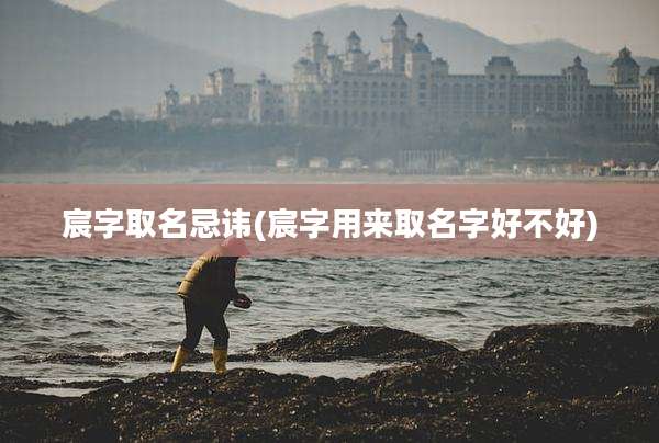 宸字取名忌讳(宸字用来取名字好不好)