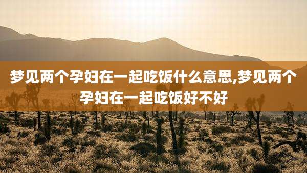 梦见两个孕妇在一起吃饭什么意思,梦见两个孕妇在一起吃饭好不好