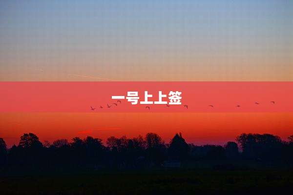 一号上上签
