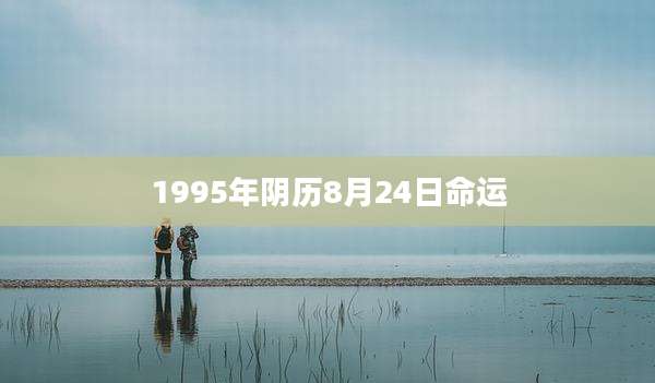 1995年阴历8月24日命运