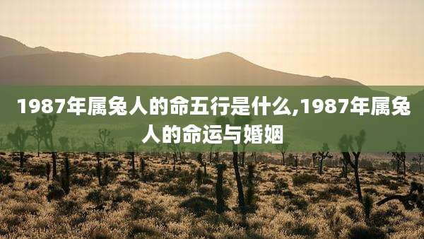 1987年属兔人的命五行是什么,1987年属兔人的命运与婚姻
