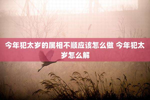 今年犯太岁的属相不顺应该怎么做 今年犯太岁怎么解